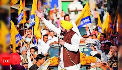 Forget 400, BJP won't cross minimum threshold: Punjab chief minister Bhagwant Mann | Amritsar News - Times of India
