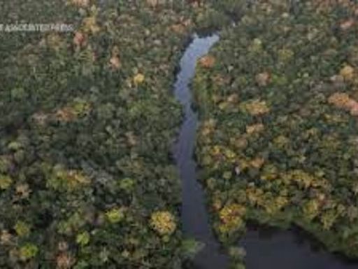 Major Amazon Tiver Tributary Drops To Lowest Level Due To Drought In Over 122 Years