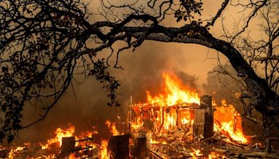 Weather extremes grip globe: Rainfall, heatwaves, and wildfires | World News - The Indian Express