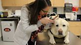 ... Launches New Resources to Help Provide Access to Veterinary Care to Millions of Pet Owners in Underserved Communities