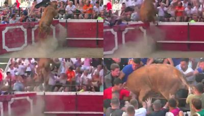 Susto en fiestas de Cadreita: una vaquilla salta al público durante el festejo de recortadores