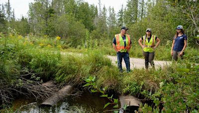 Restoration project aims to help protect Beavertail Creek, roadway