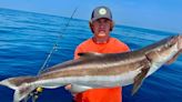 Central Florida fishing: Cobia showing, black drum, trout, snapper all biting, too