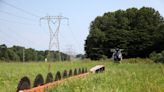 Low-flying helicopter with giant saw pruning trees in Akron-Canton region