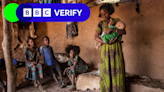 Satellite images and doctor testimony reveal Tigray hunger crisis