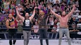 AEW Protects Its Heart And Soul By Re-Signing The Elite