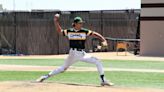 Lutheran Lions end Pueblo County Hornets' baseball season at state tournament