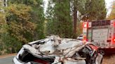 El Dorado sheriff’s senior volunteers injured after tree falls and crushes their vehicle