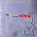 Forty Seasons: The Best of Skid Row