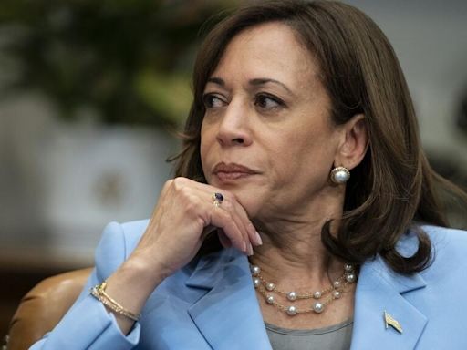 Campagne présidentielle américaine: en cas de renoncement de Joe Biden, le trésor de guerre sera pour Kamala Harris