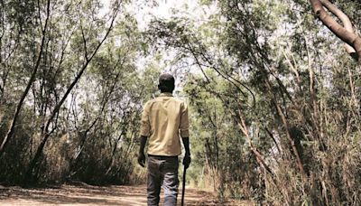 Droupadi Murmu on ecology: To preserve forests, it’s important to listen to tribal communities