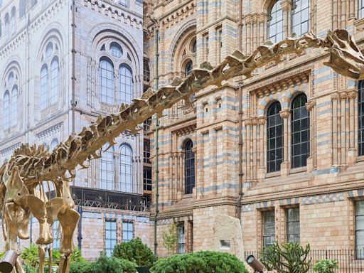 Natural History Museum opens new urban gardens complete with bronze dinosaur