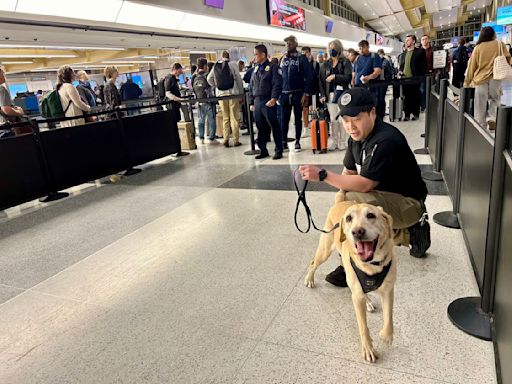 偵爆犬最後一天上班領犬員送「網球浴」 不能摸→歡迎摸！