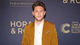 Niall Horan Announces Plans to Release New Music and Tour Festivals in 2023: 'I'm Back'