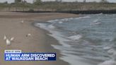 Human arm found on Waukegan beach possibly linked to Milwaukee student missing after date