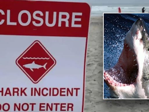 California man survives shark attack by reportedly punching predator 'inside its mouth'