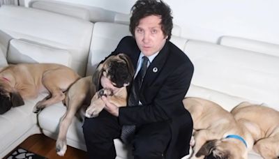 Descubre el misterio detrás de los perros clonados del presidente de Argentina, Javier Milei