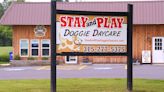 CNY doggie day care owner threatens legal action over abuse allegations