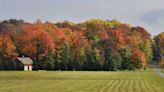 Leaves in the Erie region are readying their fall colors. Find out when and where to see them