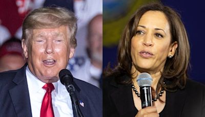 Kamala Harris aventaja a Donald Trump en tres estados clave: esto revela encuesta - El Diario NY