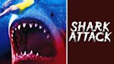 Shark Attack 2