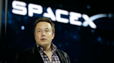 SpaceX Launch Destroys Shorebird Nests, Elon Musk Responds With Humour