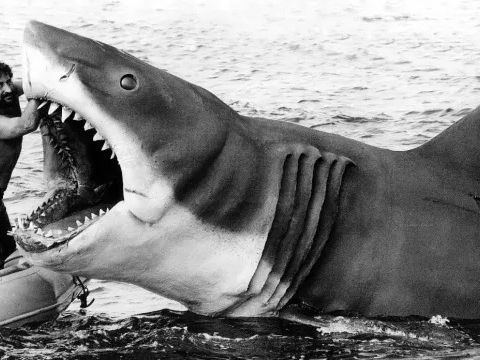 Jaws Documentary Announced for Iconic Blockbuster’s Milestone Anniversary