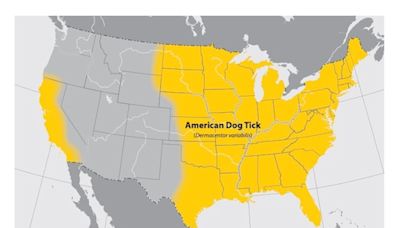 These maps show what ticks live in Massachusetts