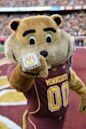 Goldy Gopher