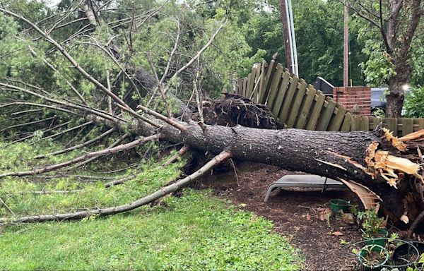 Storms leave behind downed power lines, trees in Eureka