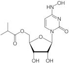 Molnupiravir