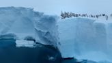 'I can't believe that': Watch hundreds of baby emperor penguins jump off huge ice cliff