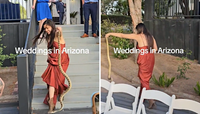Moment bride's sister calmly removes huge snake from wedding—"Not scared"