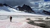 New study investigates threat of 'watermelon snow' to mountain glaciers