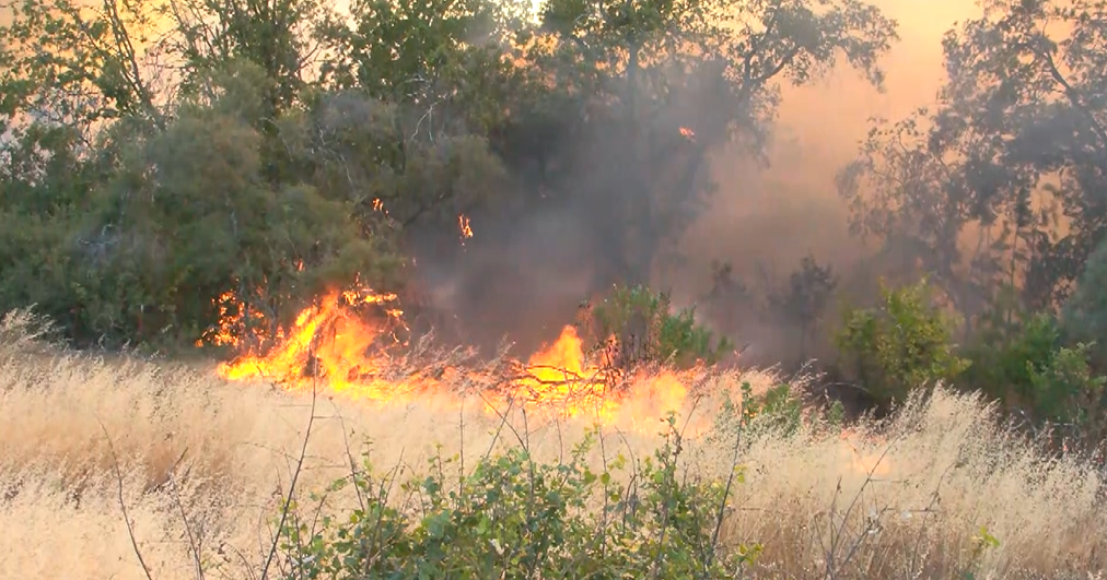 PG&E provides an update on power outages relating to the Park Fire