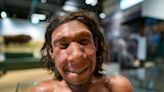 How Neanderthal DNA got ‘diluted’ among Europeans finally found