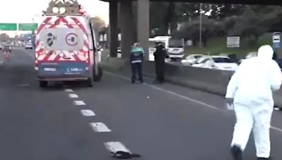 Tragedia en la Panamericana: murió una mujer que cruzó a pie la autopista y fue atropellada por un camión