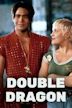 Double Dragon (film)