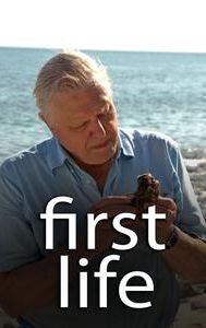 First Life