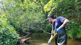 DFO now leading investigation into Cardigan River fish kill