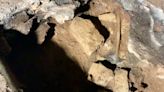 Hallaron en una cueva australiana restos del ritual cultural más antiguo del mundo