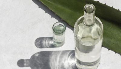 Don't Know the Difference Between Mezcal and Tequila?