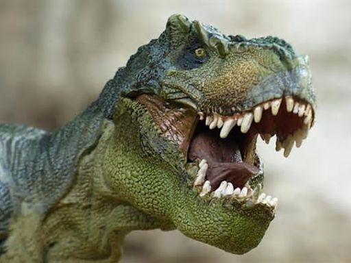 Dudas sobre la supuesta inteligencia del T-rex: su cerebro se parecía más al de un lagarto que al de un mono