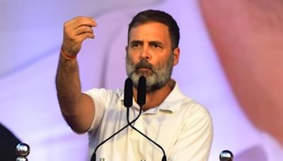 Complaint filed against Rahul Gandhi's Raebareli nomination: ‘He is a British citizen’