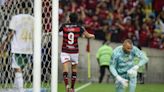 Roberto Assaf: Flamengo 2 a 0. Nunca critiquei