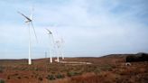 SMA ordena medidas urgentes y transitorias a titulares de proyecto eólico Talinay - La Tercera