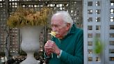 The boy genius of botany Elvin McDonald prepares for another garden season at 85