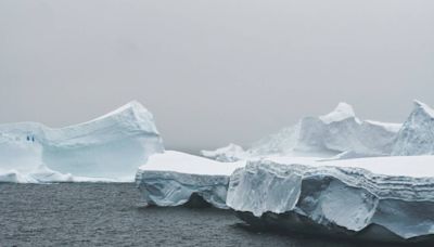 Songs heard in Antarctic waters suggest endangered creatures are thriving, study says