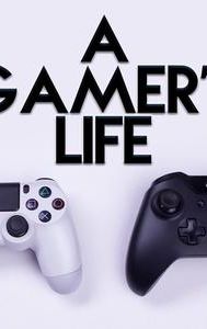 A Gamer's Life