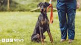 Stretton: Abandoned Doberman puppy gets loving new home